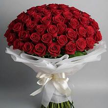 101 Красная роза Блэк Мэджик в Лопатино Букет 101 Красная роза Блэк Мэджик в Лопатино