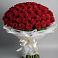 101 Красная роза Блэк Мэджик в Лопатино Букет 101 Красная роза Блэк Мэджик в Лопатино