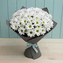 Букет белые хризантемы в Лопатино Букет цветов из:  Хризантемы в Лопатино