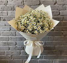 Букет Кустики радости в Лопатино Букет цветов из:  Ромашки в Лопатино