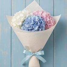 Букет Нежная гортензия в Лопатино Букет цветов из:  Гортензия в Лопатино