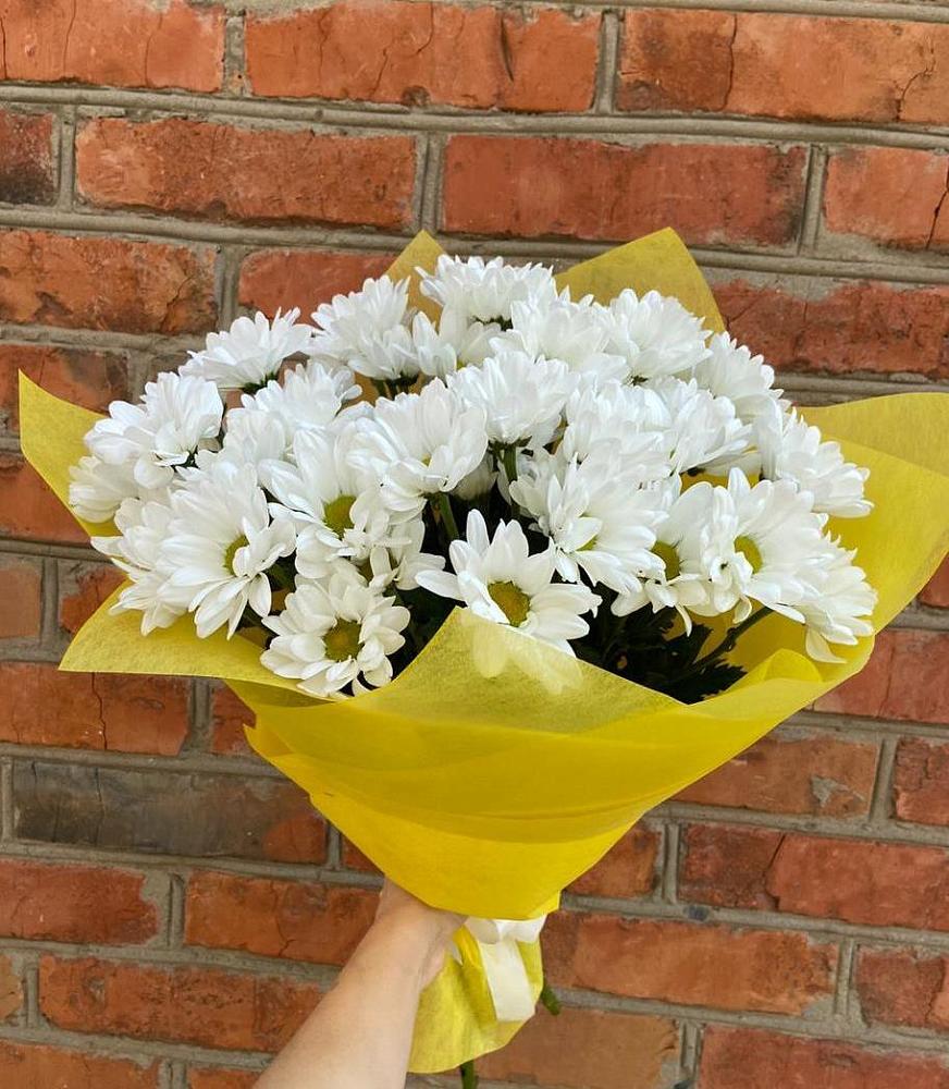 Букет Застенчивые лепестки в Лопатино Букет цветов из: Хризантемы в Лопатино