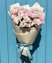 Букет Розовые хризантемы в Лопатино Букет цветов из:  Хризантемы в Лопатино