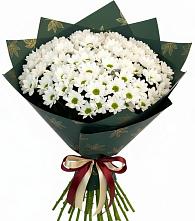 Букет море ромашек в Лопатино Букет цветов из:  Хризантемы в Лопатино