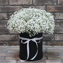 Композиция коробка гипсофил #REPLACE_PRED# Лопатино Цветочная композиция из Гипсофила в шляпной коробке #REPLACE_PRED# Лопатино